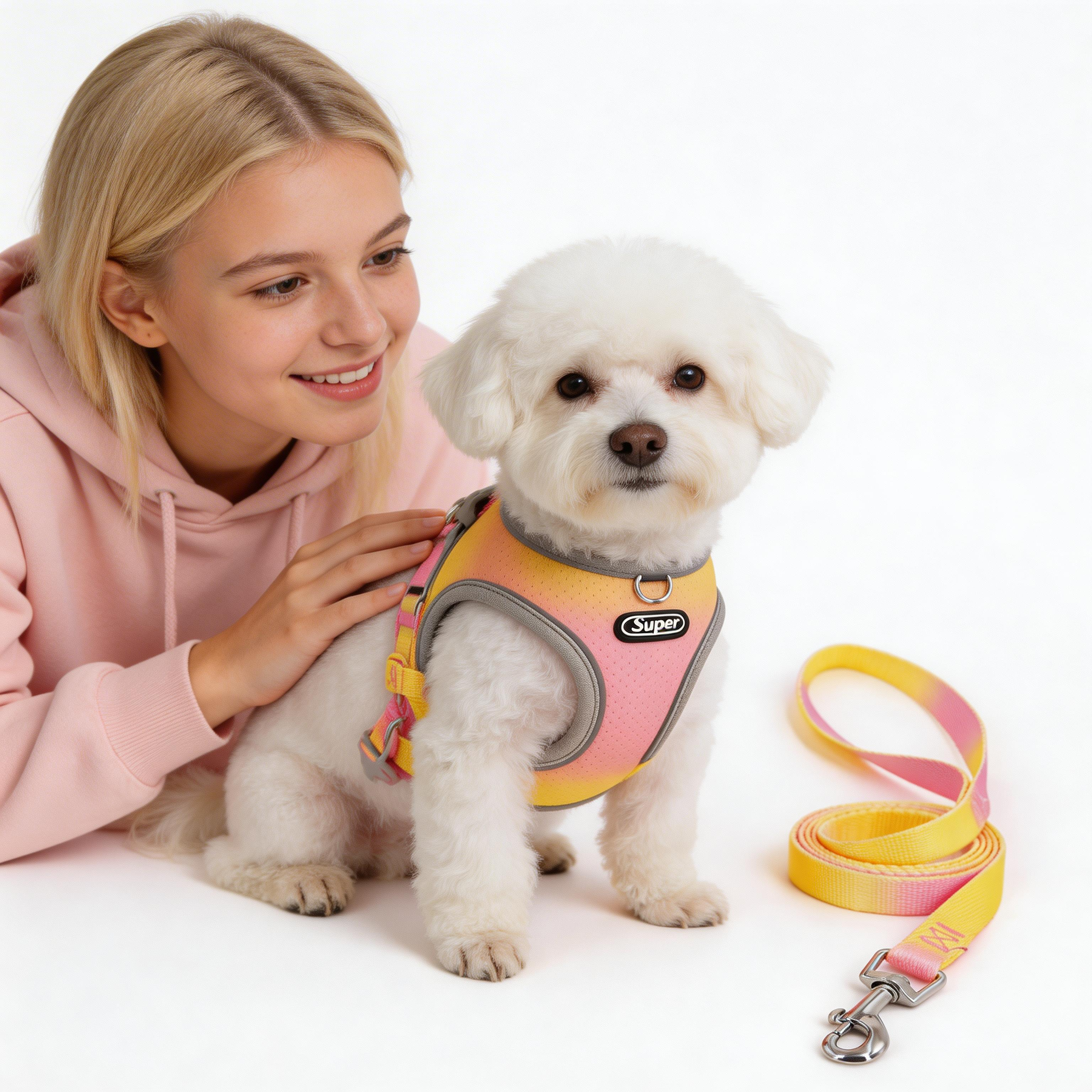 Reflective Pet Comfort Harness + leashs