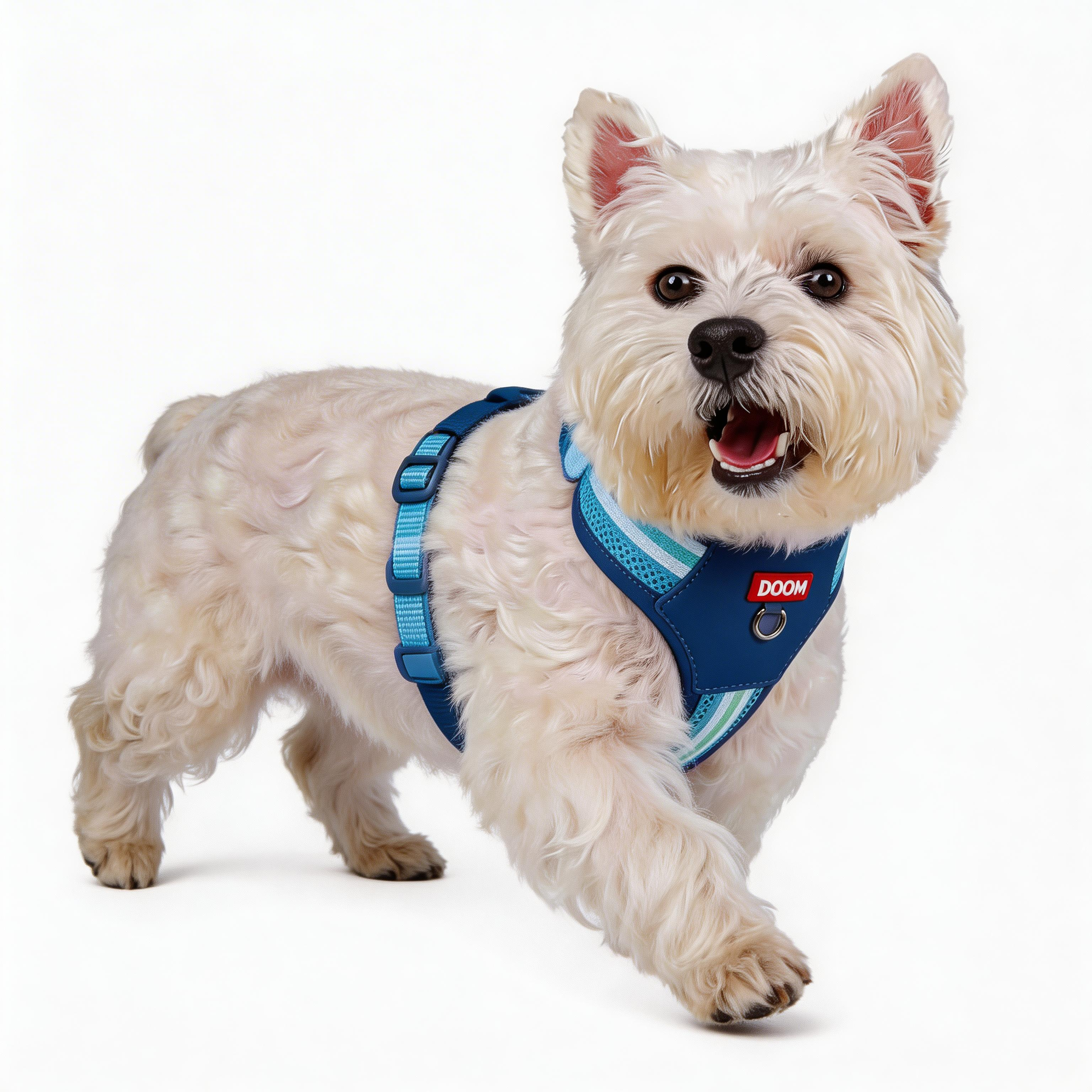 ComfortFit Color Block Dog Harness