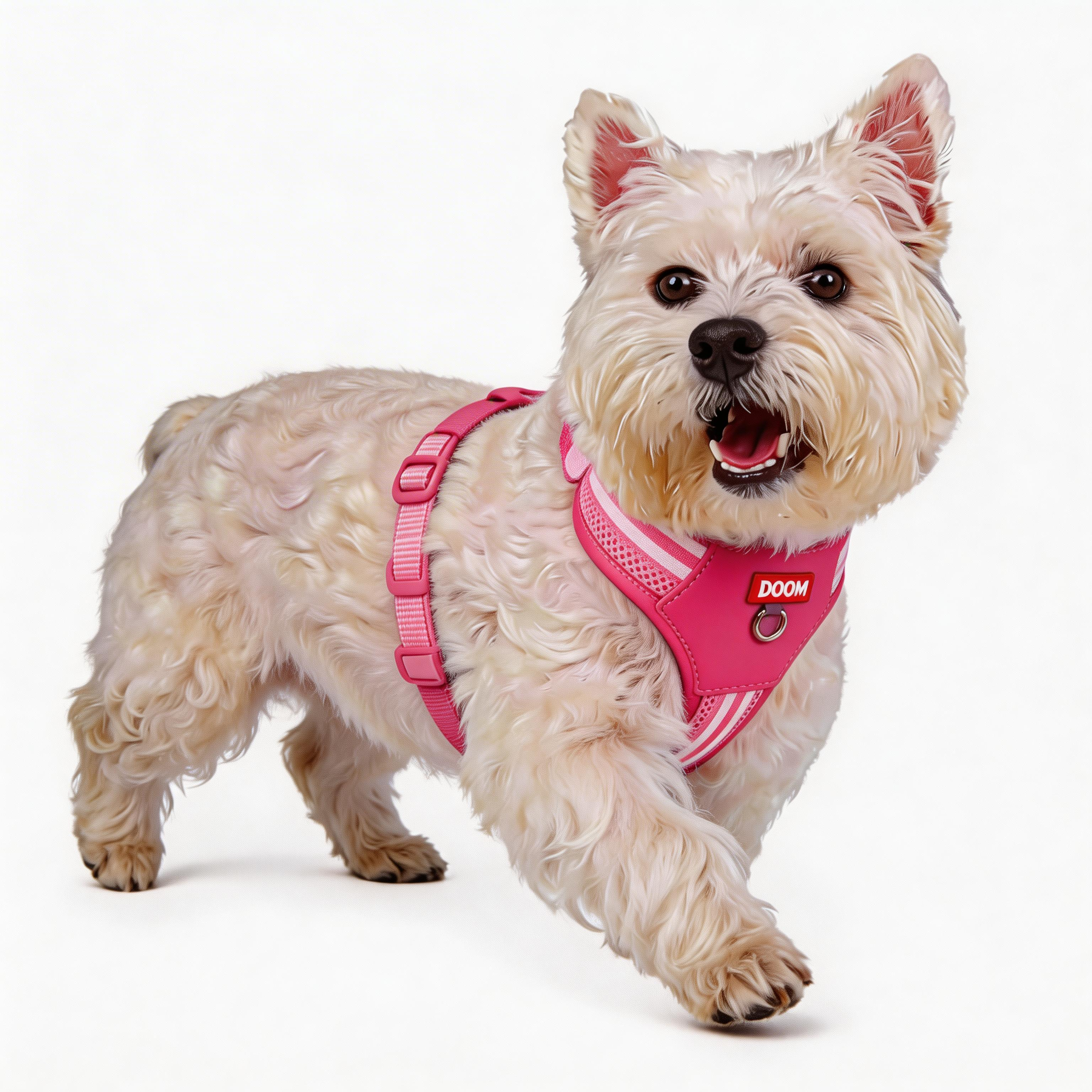 ComfortFit Color Block Dog Harness