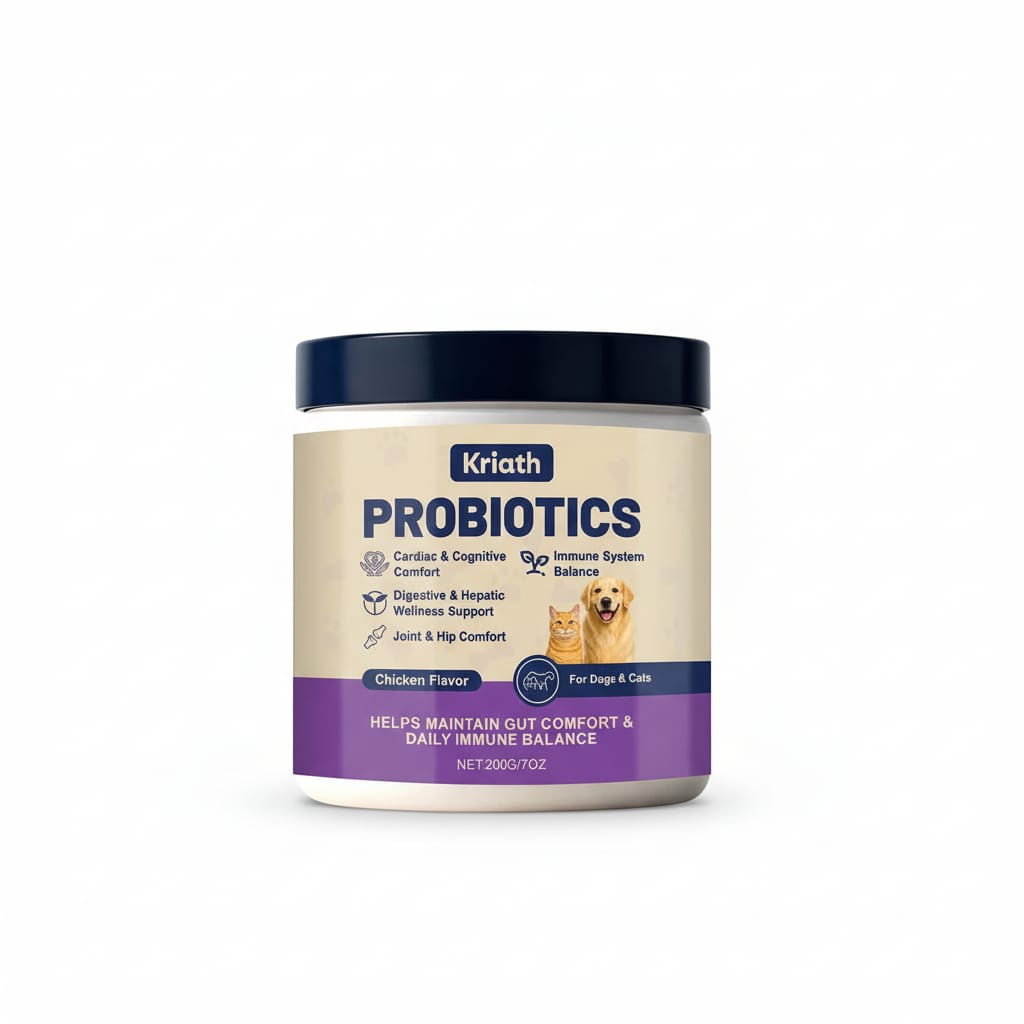 Gut health probiotic blend