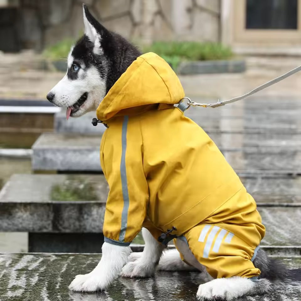 Dog Rain coat